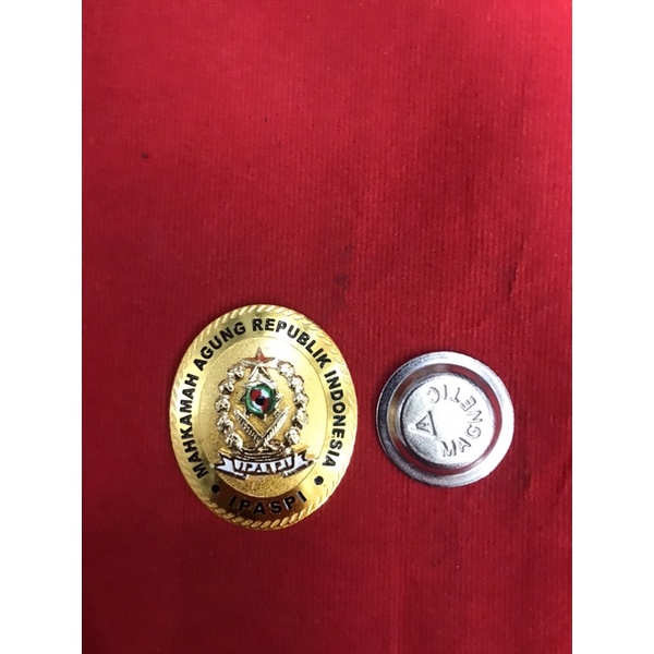 pin IPASPI