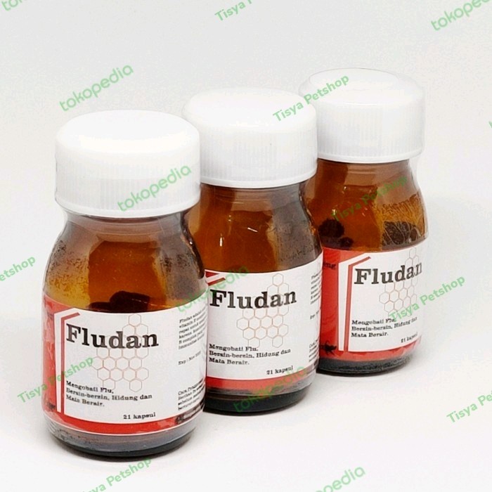 Fludan Obat Flu Pilek Kucing Ampuh