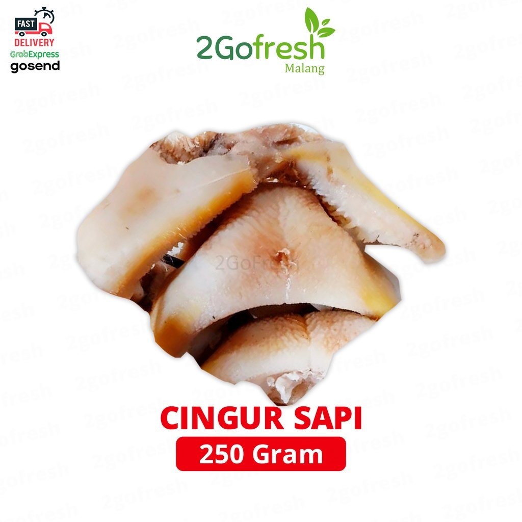 

Cingur Sapi / Mulut Sapi Fresh - Sayur Sayuran