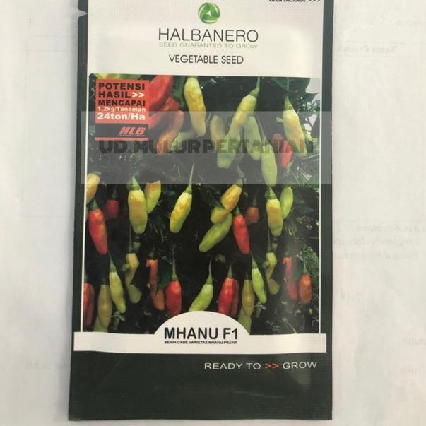 KGZ.18Oc22ᵛ ▪ Benih Cabe Cabai Rawit MHANU F1 dari Halbanero