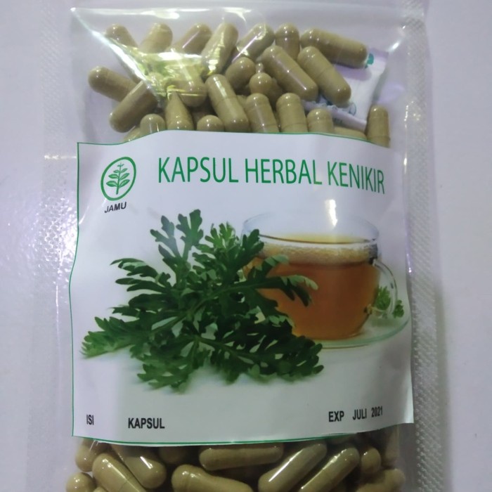 ANYAR KAPSUL BUBUK DAUN KENIKIR OBAT KANKER MURAH MERIAH #T@