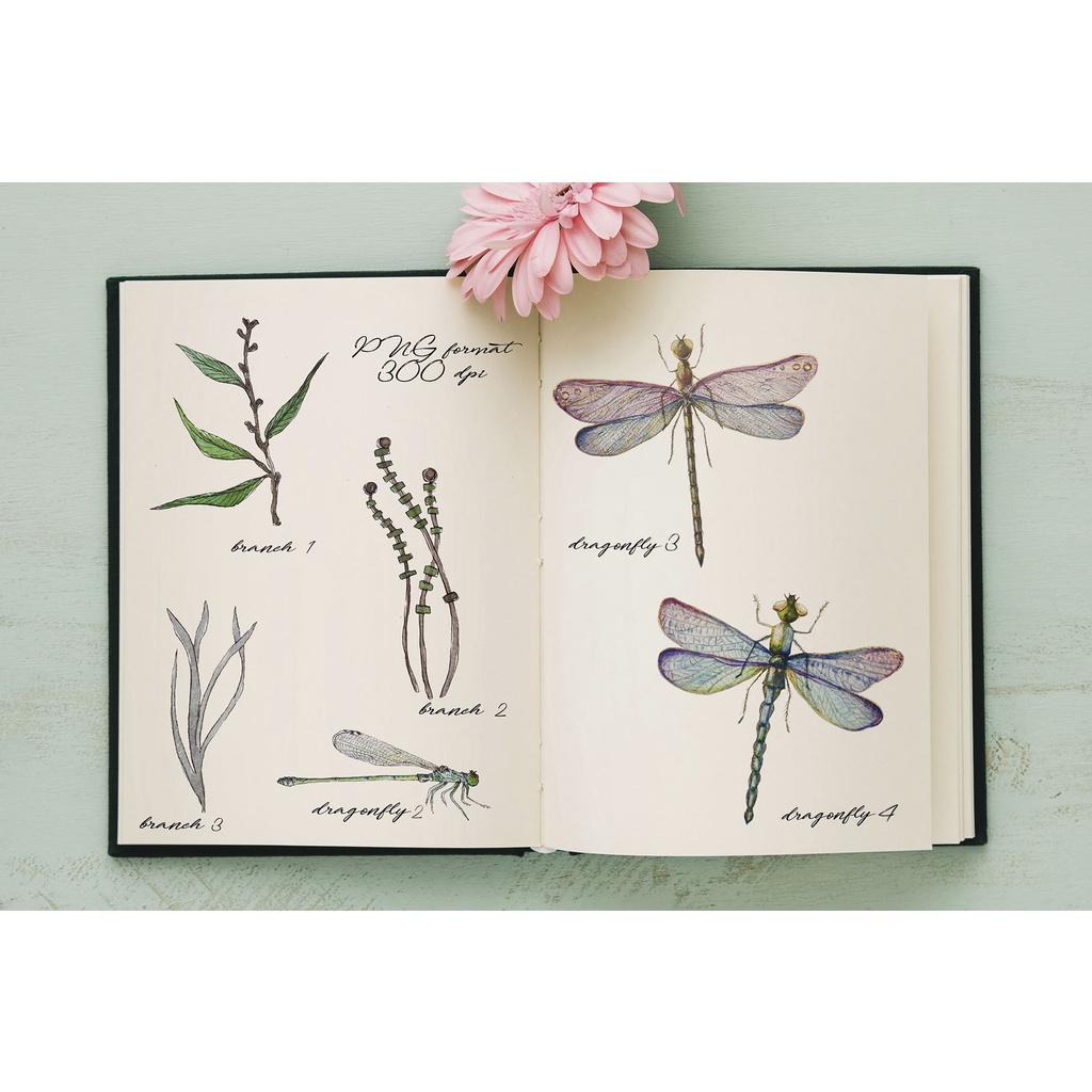 Watercolor Dragonflies Set