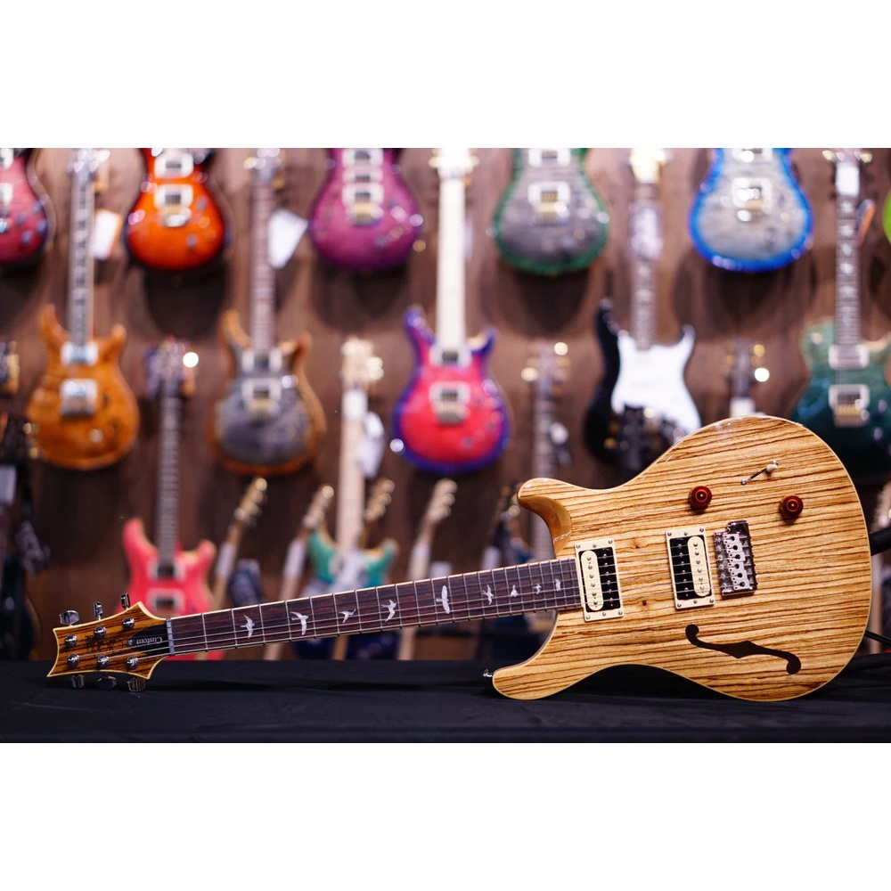 PRS SE Exotic Custom22 Semi Hollow