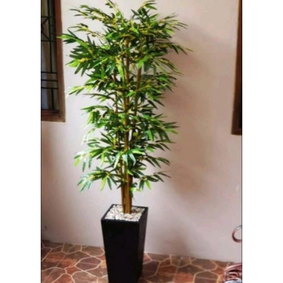 pohon bambu plastik#bambu hias#bambu artificial#bonsai bambu#bambu  hiasan rumah#bambu hias#