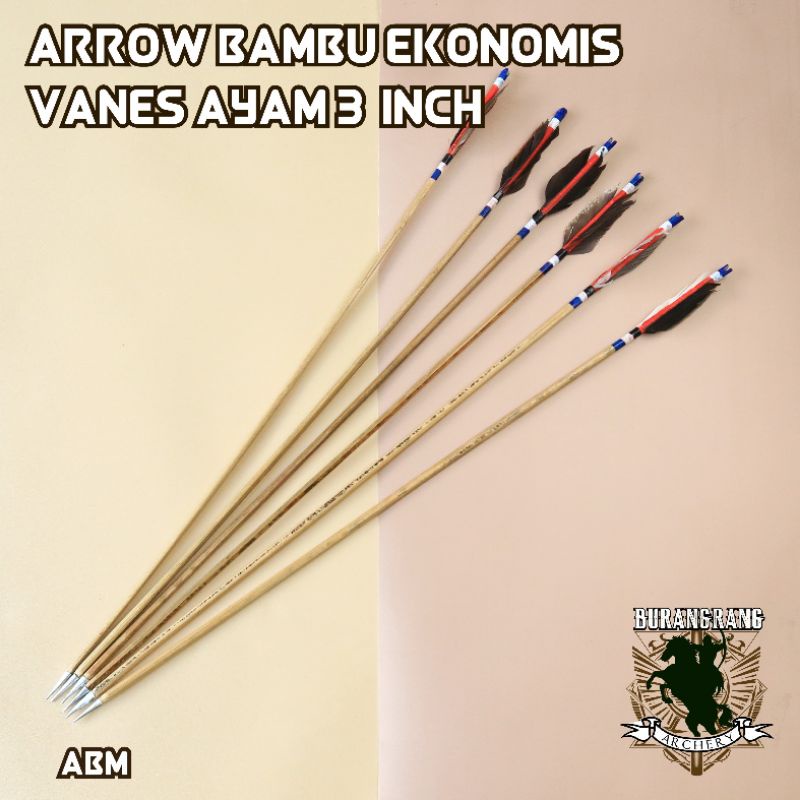 (ABM) Arrow Bambu Gombong vanes bulu 3 inch cresting