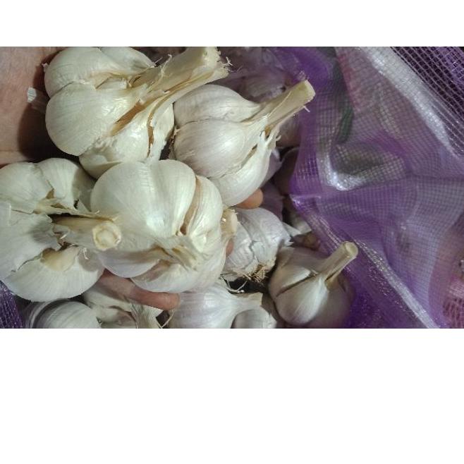 

READY ✅Bawang putih Kating 1kg|RA7