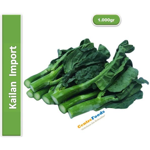 

Sayur Kailan - Gai Lan Import Fresh | 1.000gr [ Harga Per KG ]