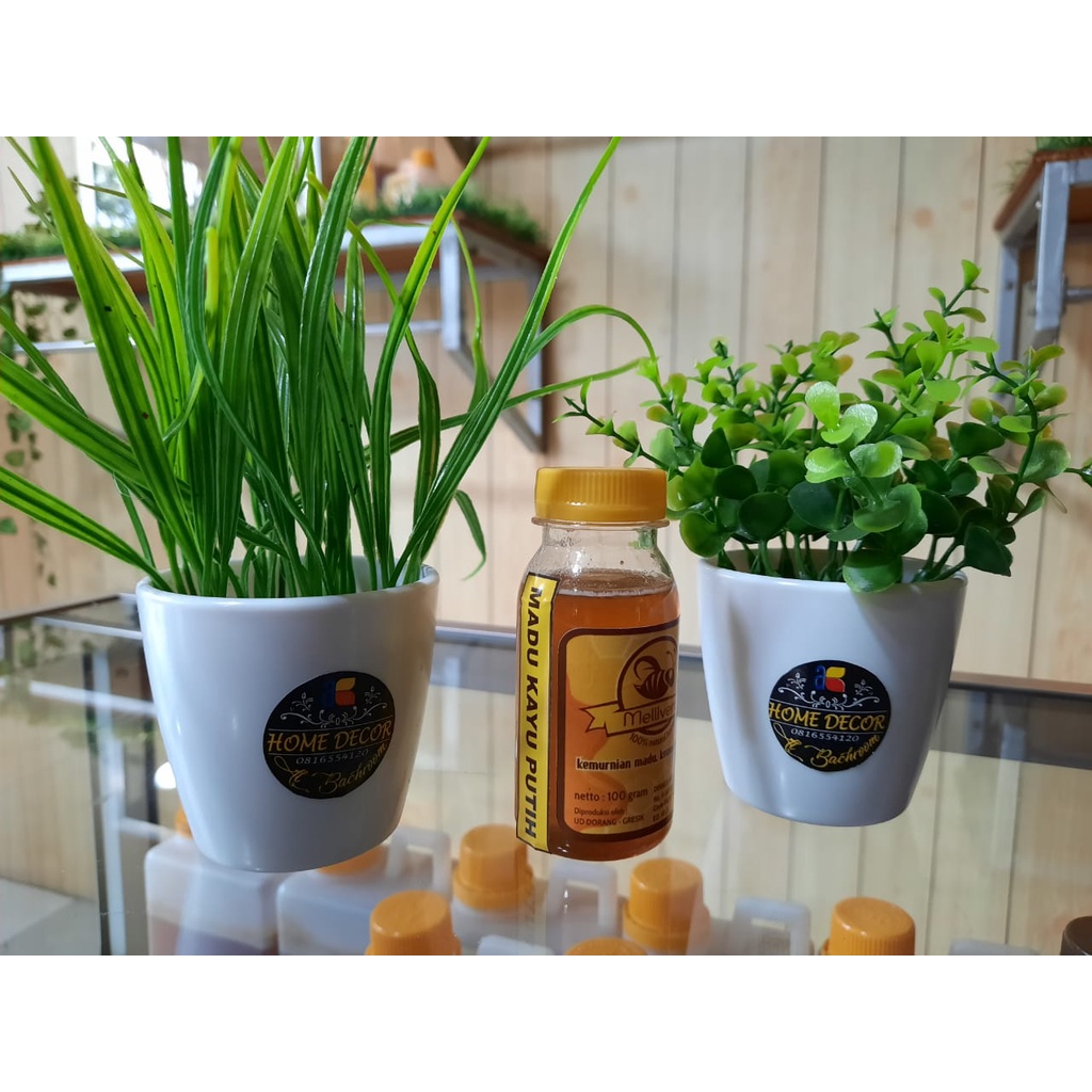 

Madu Murni Asli Bunga Pohon Kayu Putih 100g