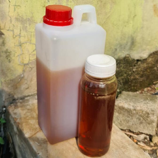 

TERBAIK MADU CURAH MULTINEKTAR 1KG STOK TERBATAS