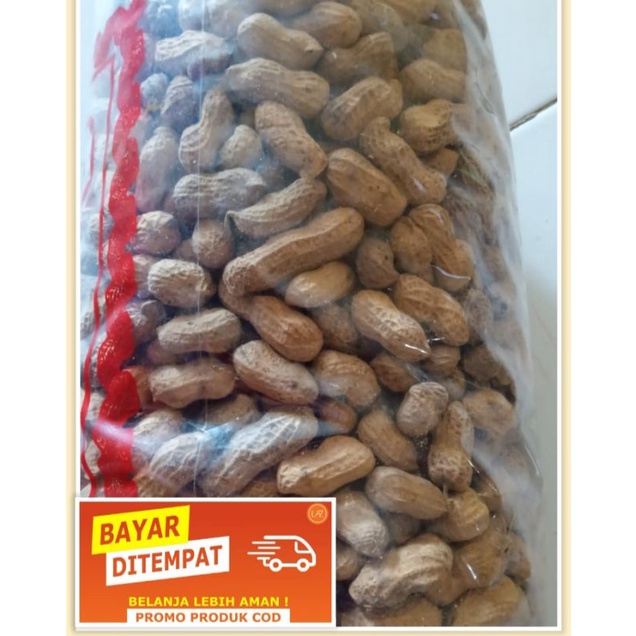 

cemilan kacang sangrai/bakar 1kg