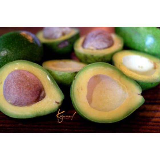 

GRATIS ONGKIR✅Alpukat Mentega Kojama Premium Quality Reguler Size [1Kg]|KD2