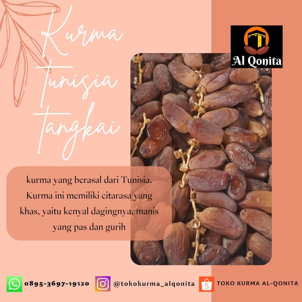 

Kurma Tunisia tangkai