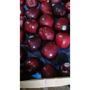 

GRATIS ONGKIR✅buah Apel merah |buah segar bandung|nuri fruits|buah apel|apel merah bandung|buah segar|RA7
