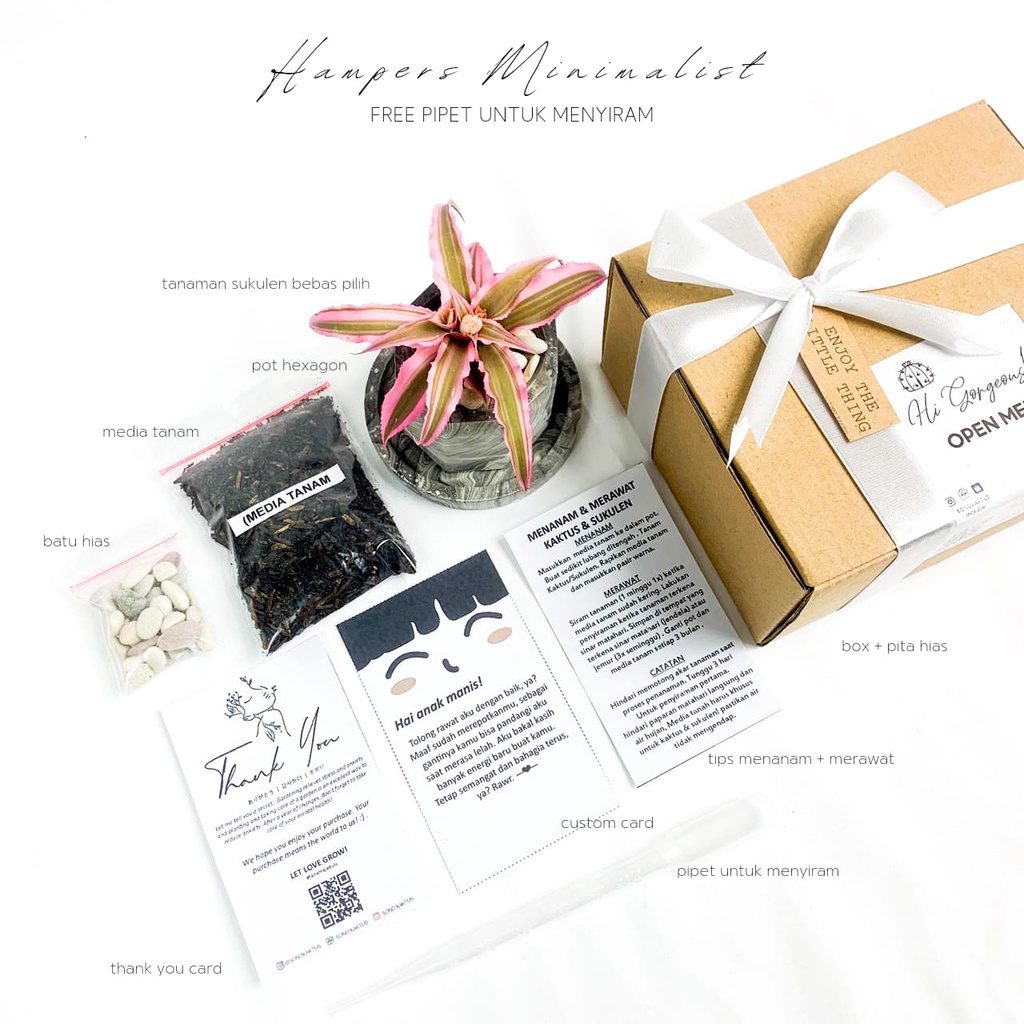 Hampers Minimalis Kaktus &amp; Sukulen Hias Mini  box hampers gift box birthday hampers ulangtahun/HAMPERS LEBARAN