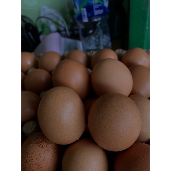 

Teur Ayam 1/4 Kg 8000 Saja