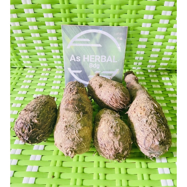 

Umbi talas segar / ubi talas pulen 1 kg