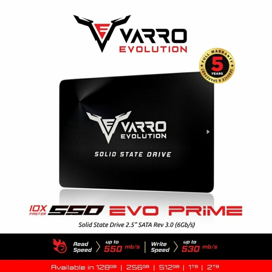 SSD VARO 128GB / 256GB / 512GB / 2TB Varro Evo Prime Garansi Resmi