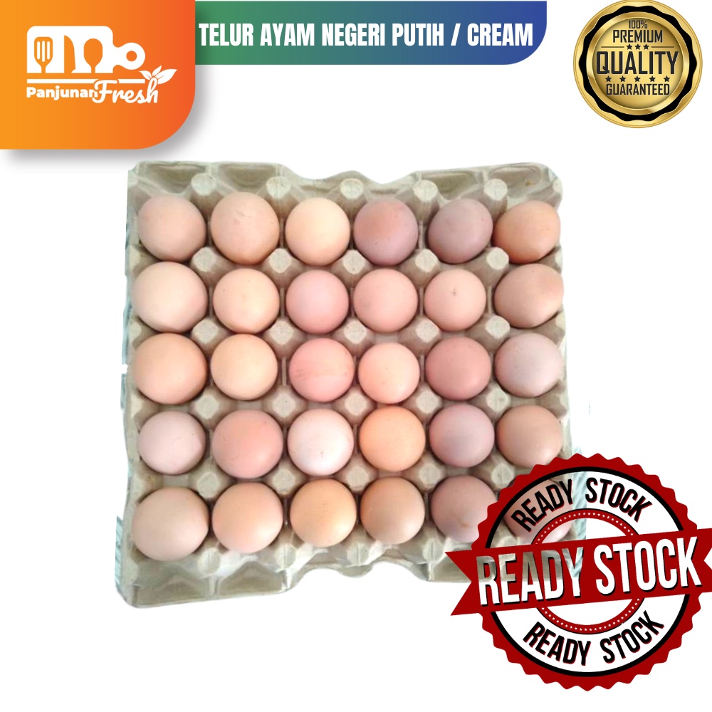 

TELUR / TELOR AYAM NEGERI PUTIH / CREAM MURAH MERIAH 1 KG