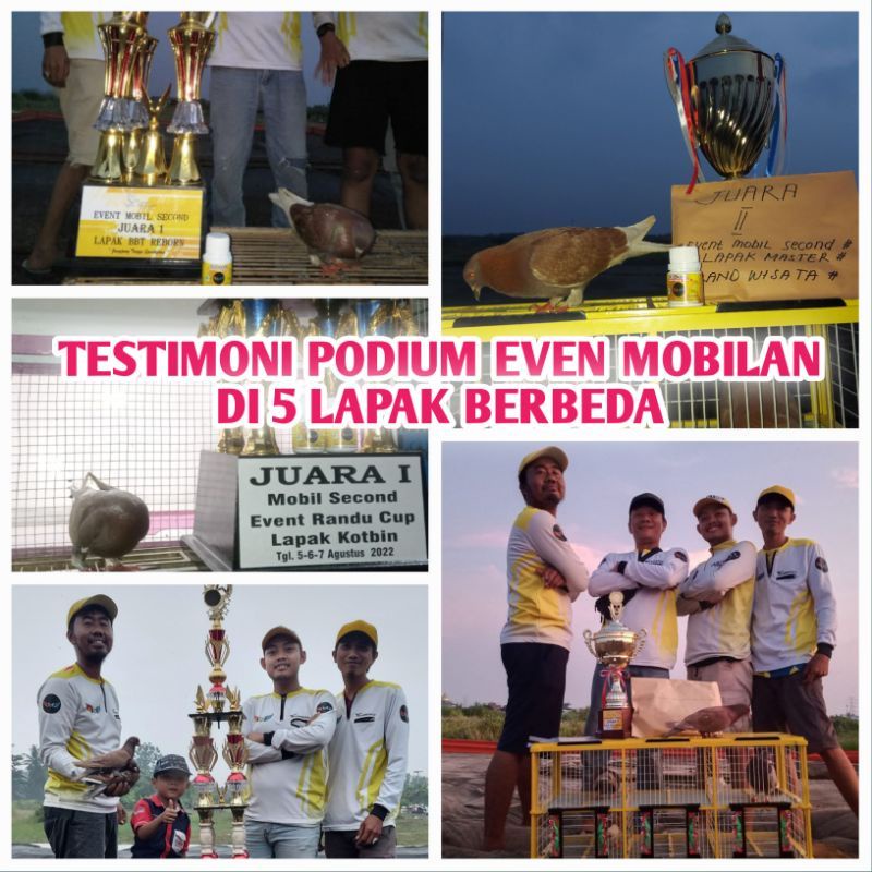 PIL ALUS MERPATI JAMU MERPATI  PIL ALUS JAMU SANG JUARA