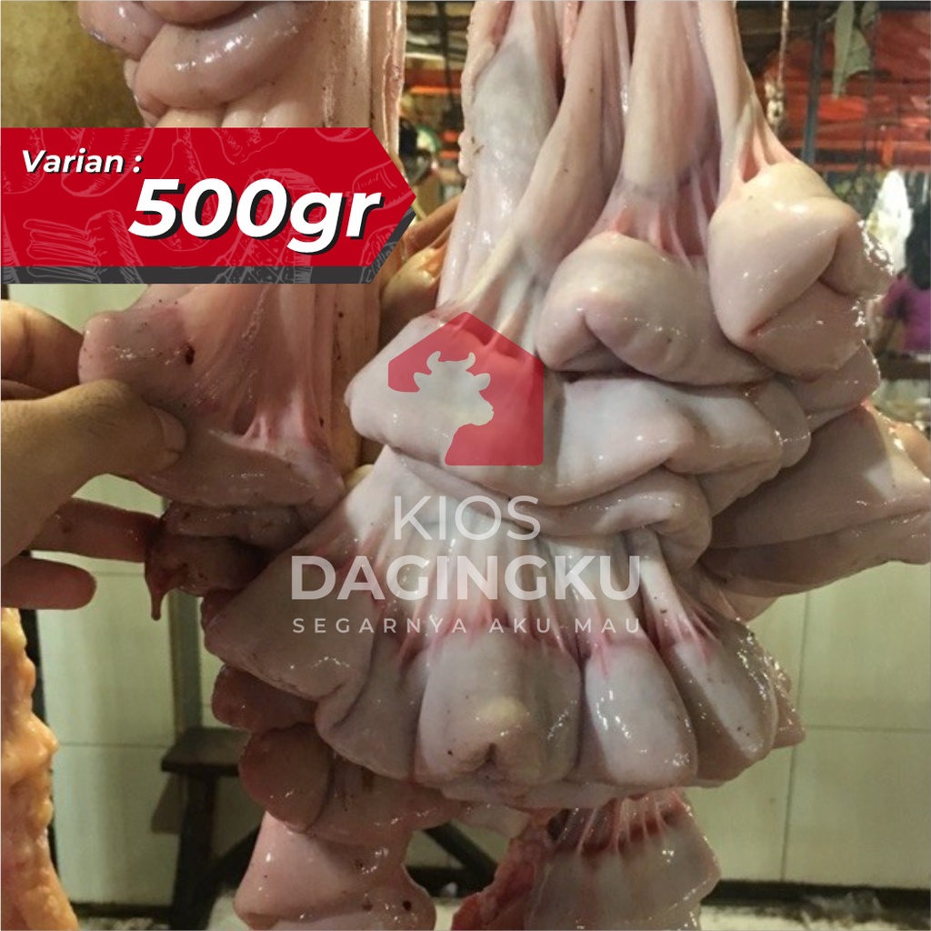 

Usus Sapi Mentah / ISO Sapi @500gr