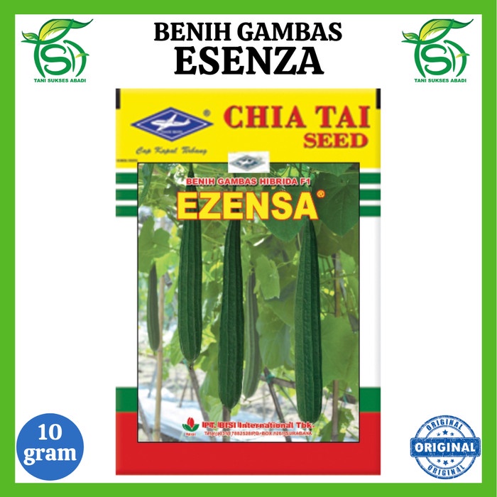 Benih Gambas ESENZA F1 isi 10 Gram - Bibit Oyong Cap Kapal Terbang