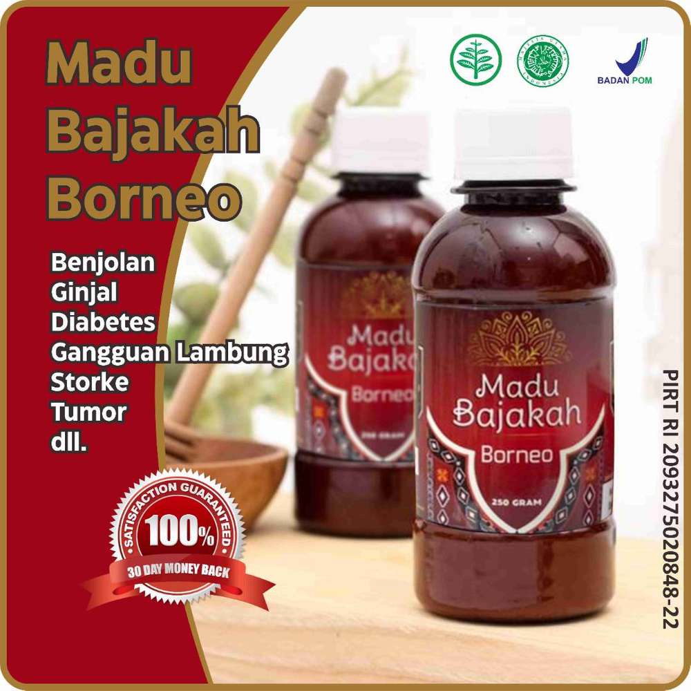 (BISA COD) MADU BAJAKAH BORNEO MADU BAJAKAH ASLI KAYU BAJAKAH AKAR BAJAKAH MENGOBATI PENYAKIT BERAT DAN RINGAN