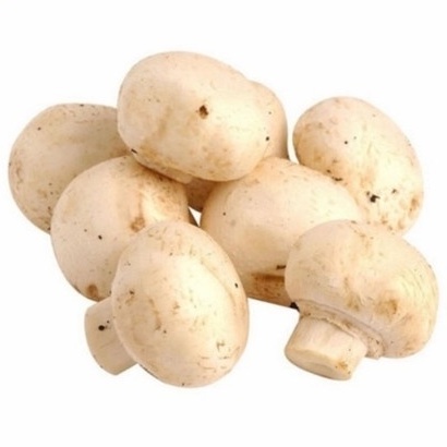 

Jamur Champignon/kancing super 500g