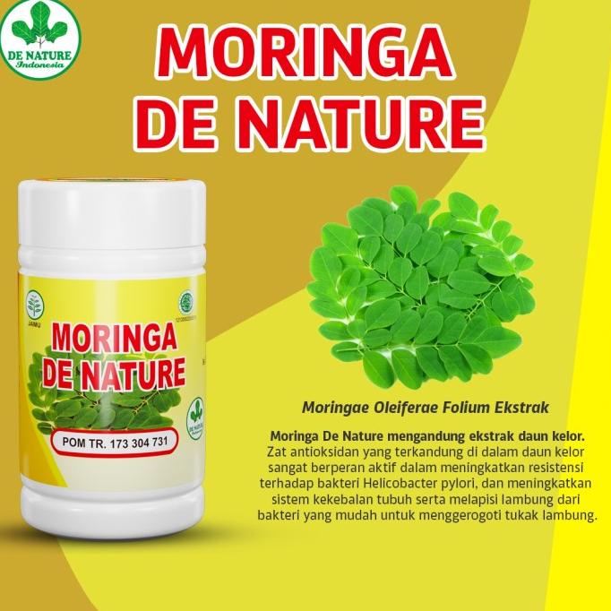 Moringa Obat Asam Lambung Herbal Sesak Karna Asam Lambung Naik Asam Lambung De Nature