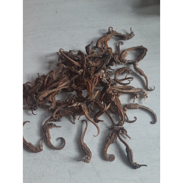 

herbal kering ku d4