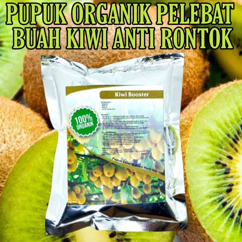 Pupuk organik booster pelebat buah kiwi agar cepat berbuah lebat penyubur tanaman kiwi organik tidak mudah rontok