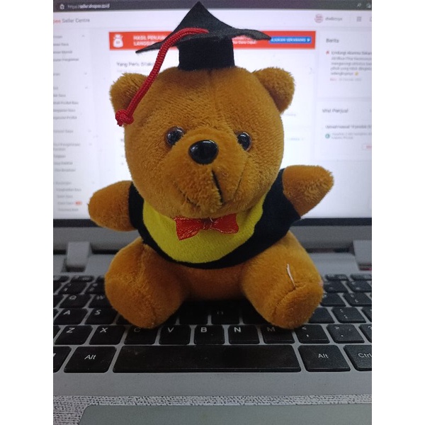 BEAR TOGA / BEAR BUKET TINGGI 15CM