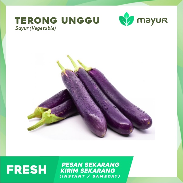

Terong Ungu Segar (1 pcs)