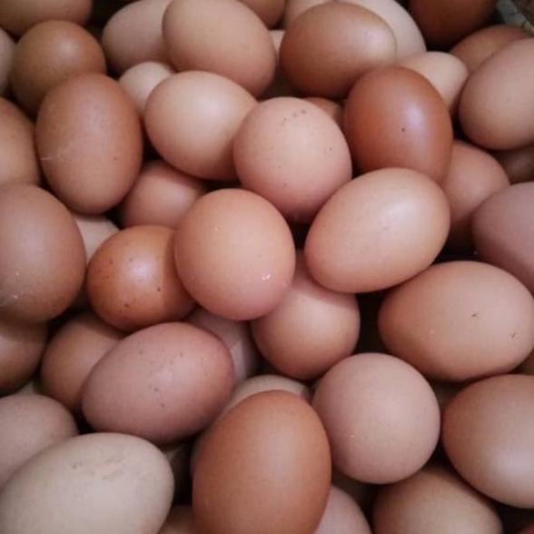 

Buruan pesan--Telur ayam negeri 1kg by gosend instan