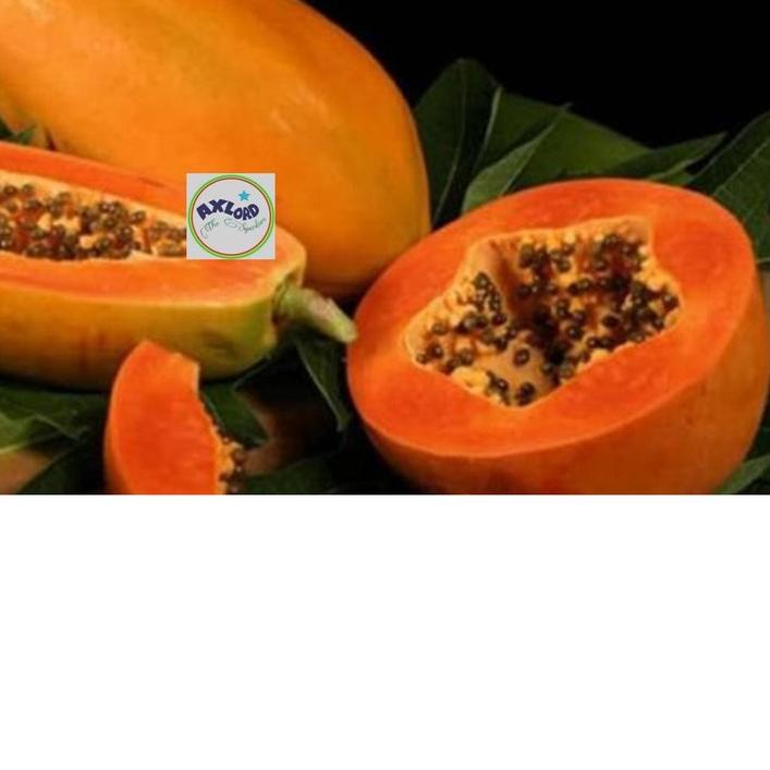 benih pepaya california asli IPB isi 150 terbaru