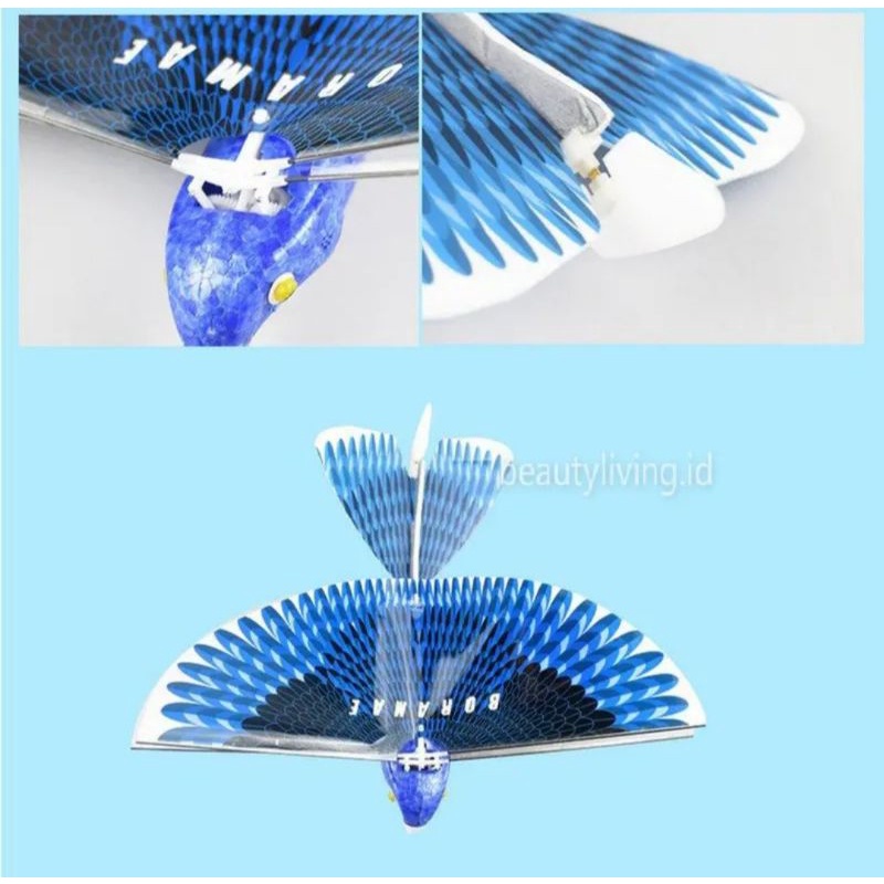 Flapping Simulation Flying Wing Bird C