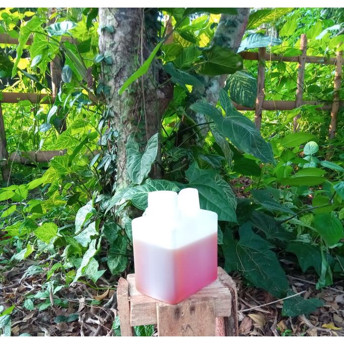 

BEST SELLER MADU STROBERI 1/2KG SUPER PENGIRIMAN CEPAT