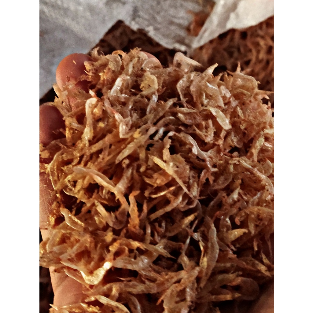 

udang papai udang kecil udang kecil kering Udang rebon