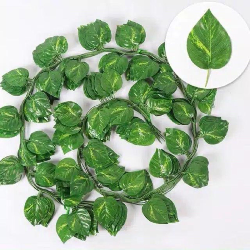 Daun rambat Sirih Gading Besar, Srigading panjang 115cm dan 200cm lebar 7cm plastik artificial