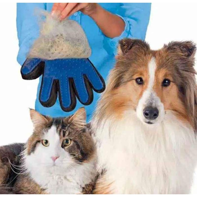 PET-GLOVE