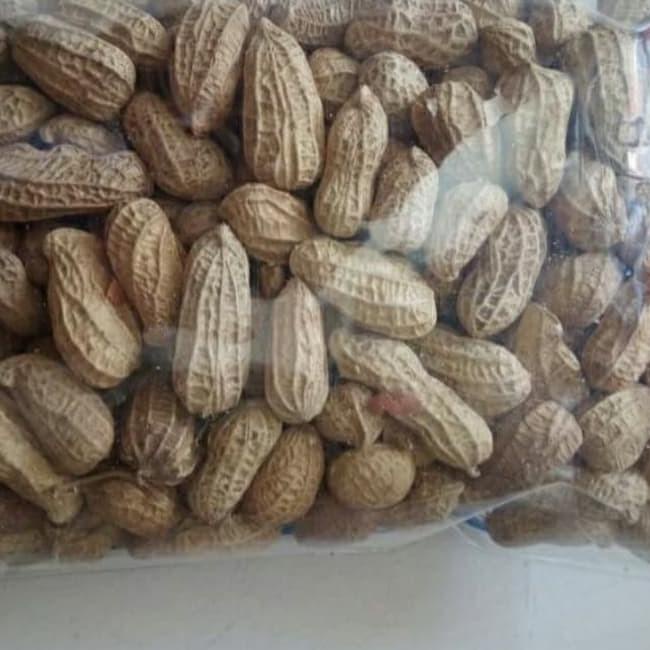 

Dijual.. 1 kg kacang kulit sangrai/panggang 92