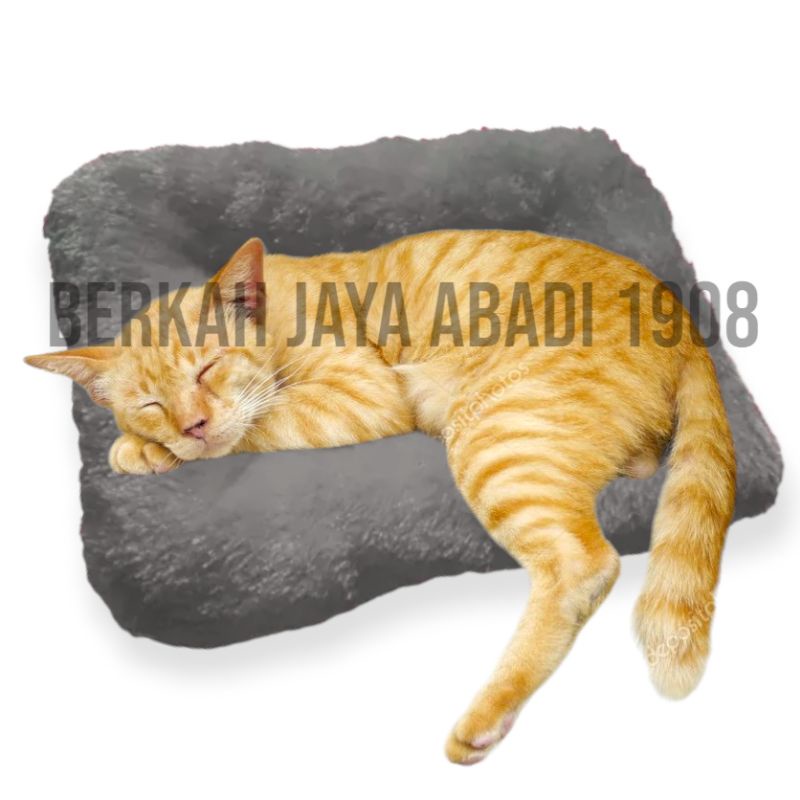 Kasur Kucing Alas Bulu Rasfur / Tempat Tidur Kucing Bahan Rasfur