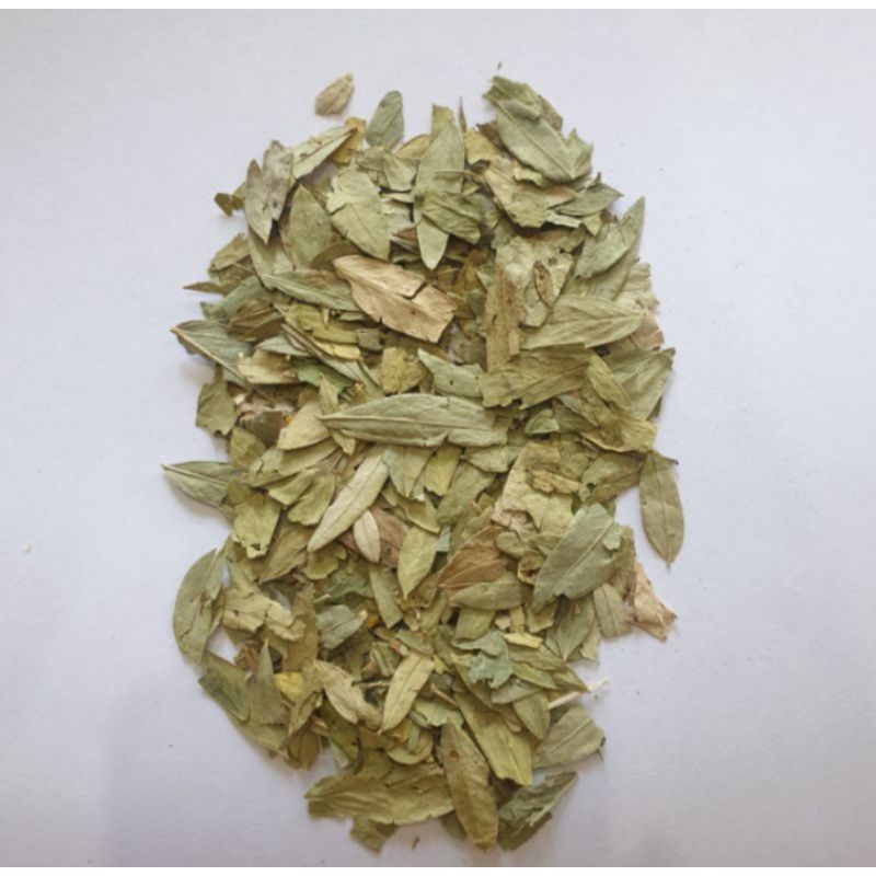 

Teh jati cina 100 gram