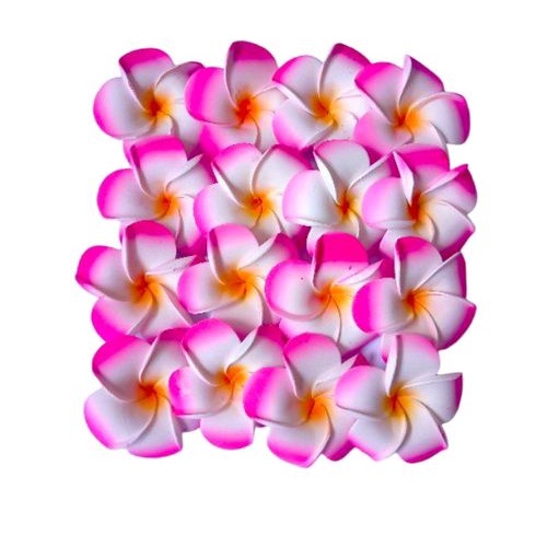 Bunga Jepun Souvenir 5cm