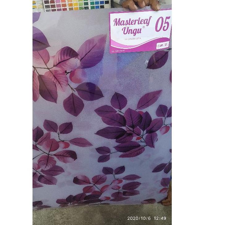 Paling Laris--fiber pagar ungu daun kilap