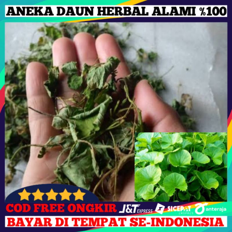 

Daun Pagagan Atau Daun Antanan Kering/50Grm