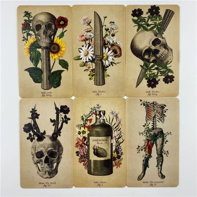 The Antique Anatomy Tarot 9.8x5.7cm kemasan kaleng include guide paper