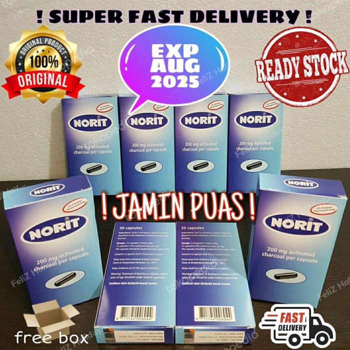 Jual NORIT KAPSUL 200MG ACTIVATED CHARCOAL Shopee Indonesia