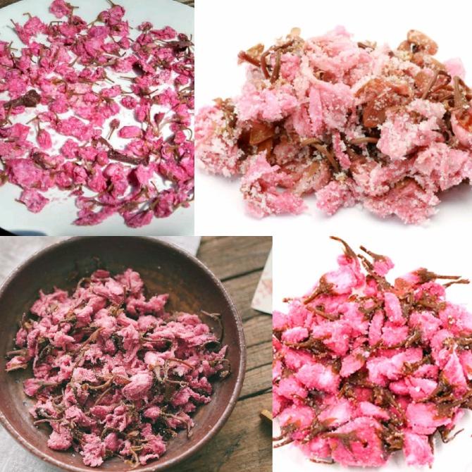 

Bunga Sakura Edible Makanan Minuman Hiasan Kue Pudding Teh Cake Acar