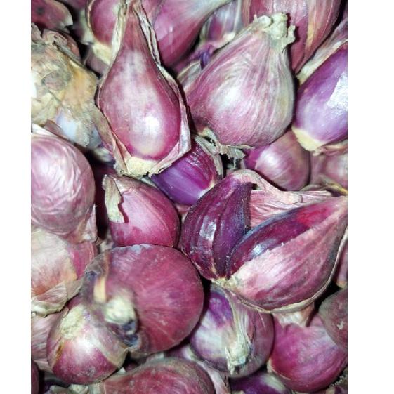 

Murah Banget--BAWANG MERAH BREBES UKURAN SEDANG 1KG