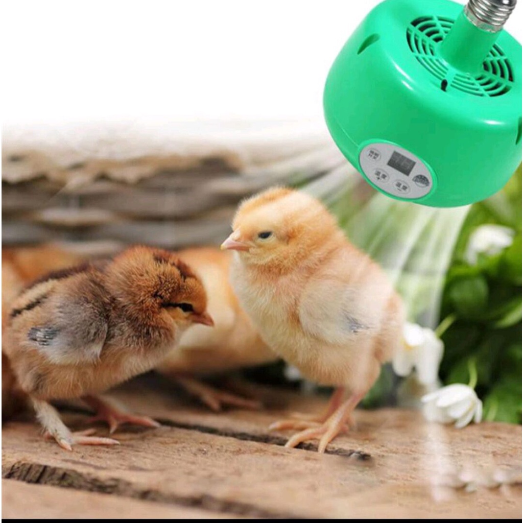 Penghangat Reptil Blower Pemanas Kandang Digital Blower Penghangat Kandang Dap